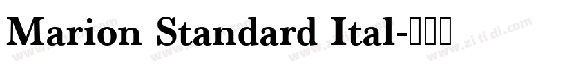 Marion Standard Ital字体转换